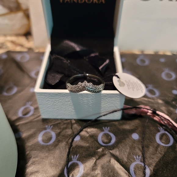 Pandora Bundle - Retired Charms, Wishbone Ring (9) & Limited Edition Case! - Picture 6 of 16